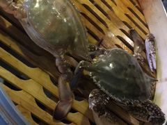 -船梆煮•蒸汽海鲜·生腌干蒸(五四广场店)