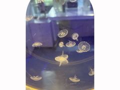 -海合安天津极地海洋公园