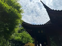 -十八棵（老龙井）御茶园(老龙井店)