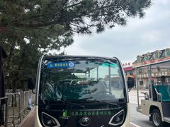 -日照海滨国家森林公园