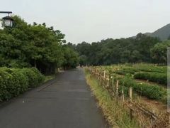 -钱江新城灯光秀