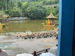 -西双版纳原始森林公园