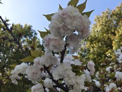 -江南大学(蠡湖校区)