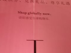 -DFS旗下T广场(新加坡店)