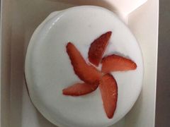 -糕小爱动物奶油生日蛋糕定制(晋江万达店)