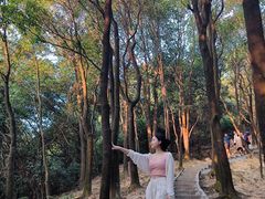 -火炉山森林公园