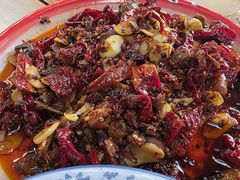 -柴窝堡22号辣子鸡·传承新疆菜