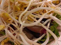 -朱氏胖子烂火锅(洪崖洞店)