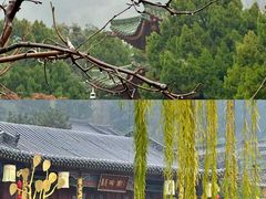 -华清宫景区
