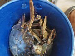 -澜悦港海鲜体验主题餐厅