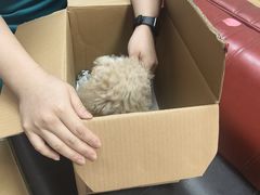 -瑞派天宁宠物医院·猫科·异宠中心