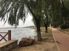 -丁香湖公园