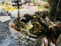 -厦门老院子景区
