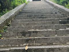 -蝴蝶泉公园