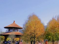 -五缘湾湿地公园