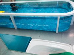 -趣游baby swim婴童游泳·盐氧护(旭辉u天地店)