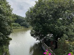 -海珠湖公园