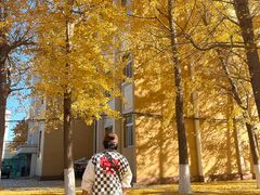 -辽宁大学(崇山校区)