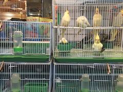 店内环境-宝鸡东道花鸟鱼虫市场(吉利花园商场店)