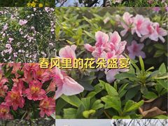 -龙头寺公园