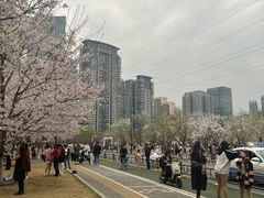 -西北湖绿化广场