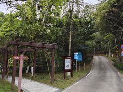 -天鹿湖森林公园