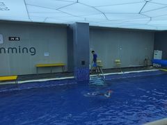 -酷游亲子游泳中心