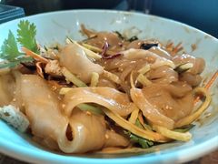 东北大拉皮-95号酱骨·一块豆腐(展春园西路店)