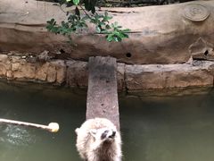 -长鹿旅游休博园