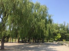 -望湖公园