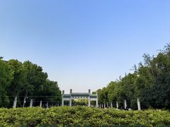 -武汉大学-樱园