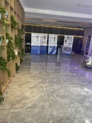 -碧莲盛·不剃发植发