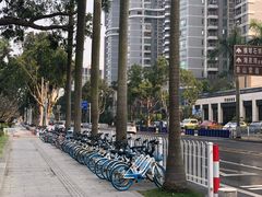 -澳门环岛游湾仔码头