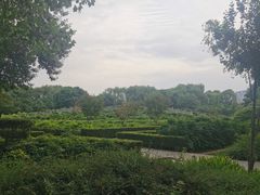 -洛阳市隋唐城遗址植物园