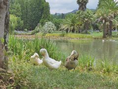 -昆明植物园