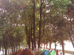 -千龙湖生态旅游度假区