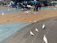 -烟台海昌鲸鲨海洋公园