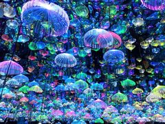 -天津梵高星空艺术馆(天河城旗舰店)