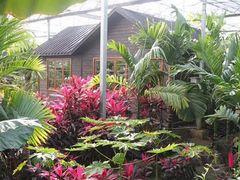 -呀路古热带植物园