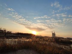 -春花秋色城市公园