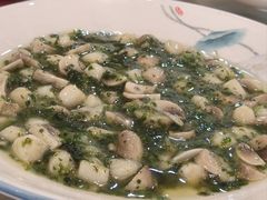 -蔡阿水羊肉店