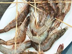 -濠轩阁特色生蚝火锅总店