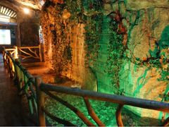 iphone_upload_pic-青岛葡萄酒博物馆