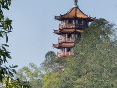-大雁山风景区