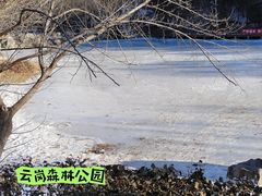 -云岗森林公园