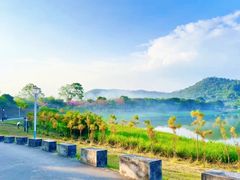 -风云岭森林公园
