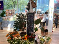 -猫的天空之城概念书店(北戴河蔚蓝海岸店)