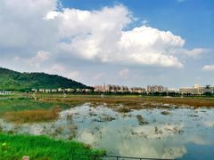 -风云岭森林公园