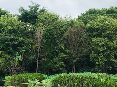 -映月潭温泉