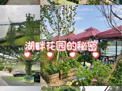 -望湖烤鱼